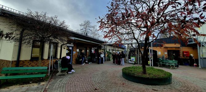 Schronisko na Paluchu!