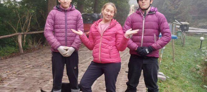 Jamajka klub – wolontariat w stajni