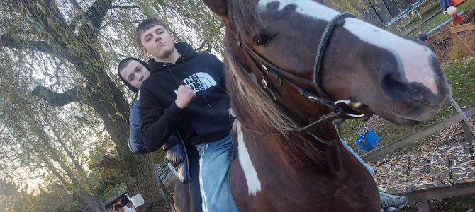 Stajnia hipoterapeutyczna